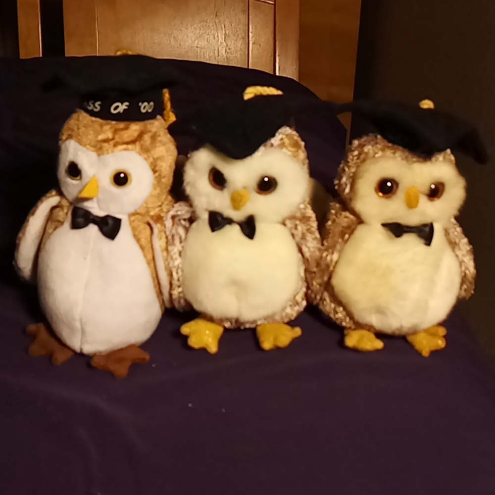 Ty Graduatifon Owls